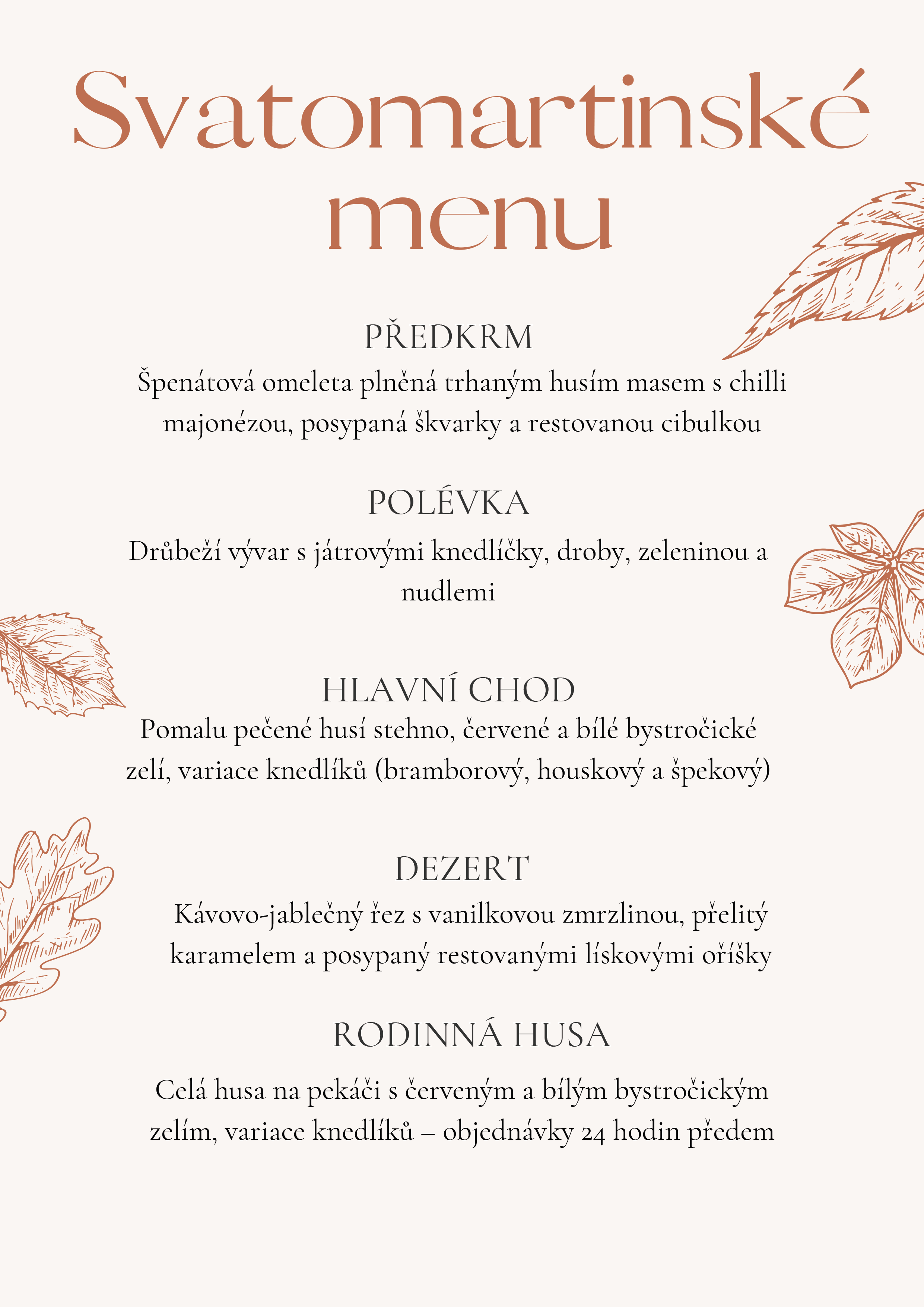 Plakát Hotel Zámek Velká Bystřice