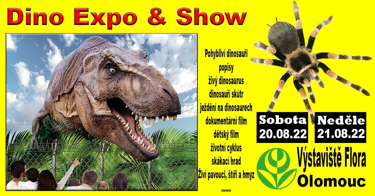 Dino Expo & Show & Spiders