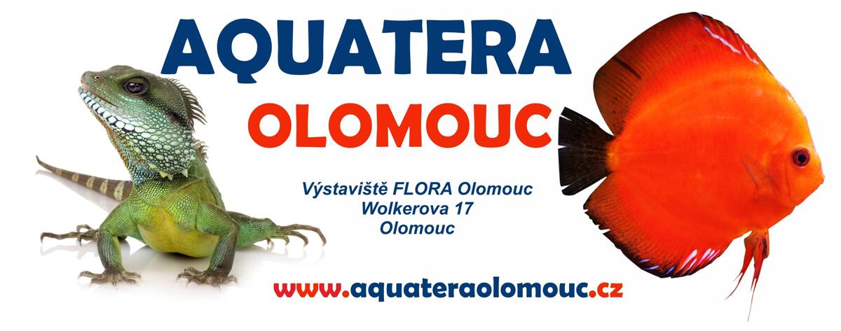 Aquatera Olomouc