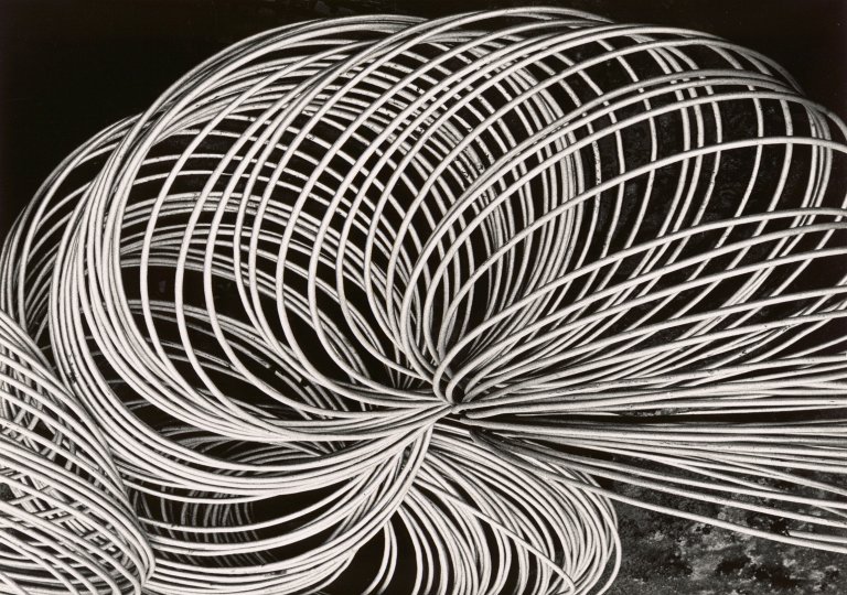 Metamorfózy: Průvod masek