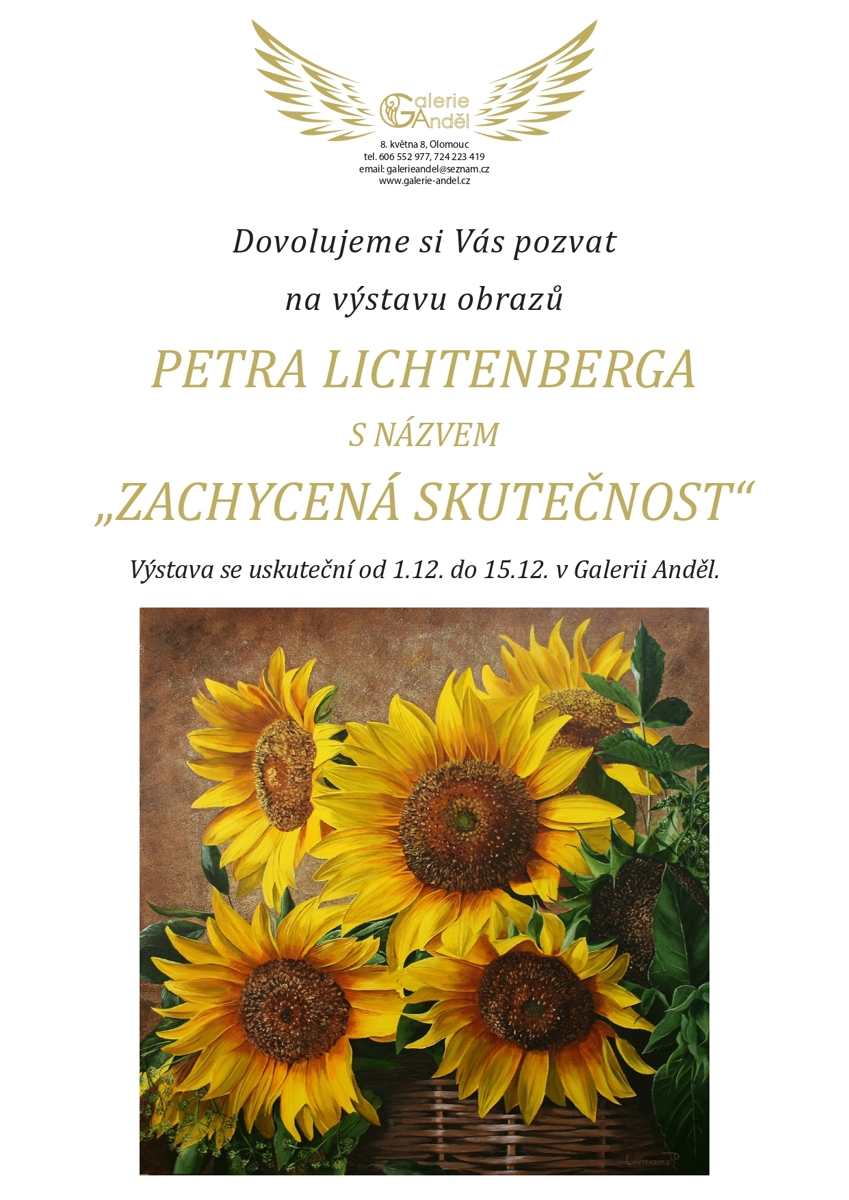 Petr Lichtenberg: Zachycená skutečnost