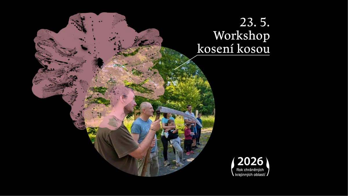 Workshop kosení kosou