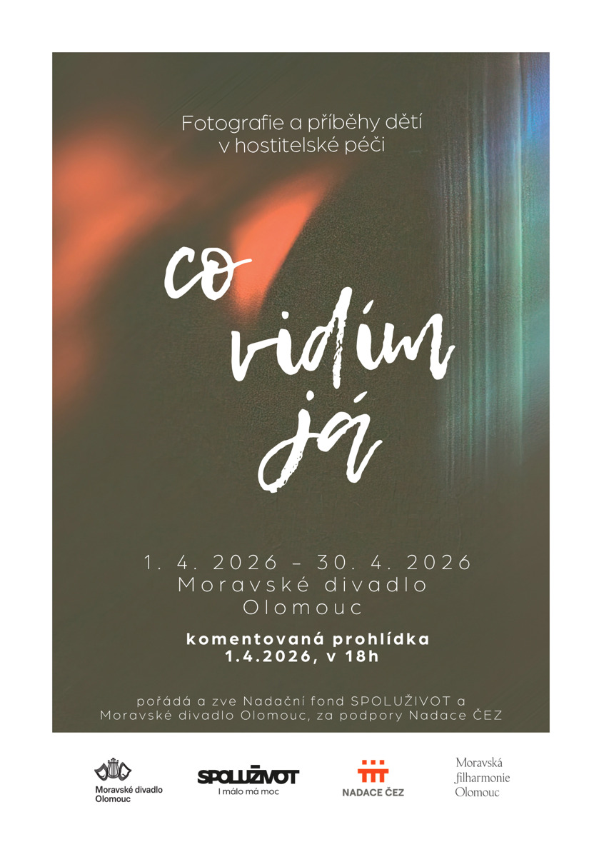 Svět očima dětí v hostitelské péči: Výstava Co vidím já