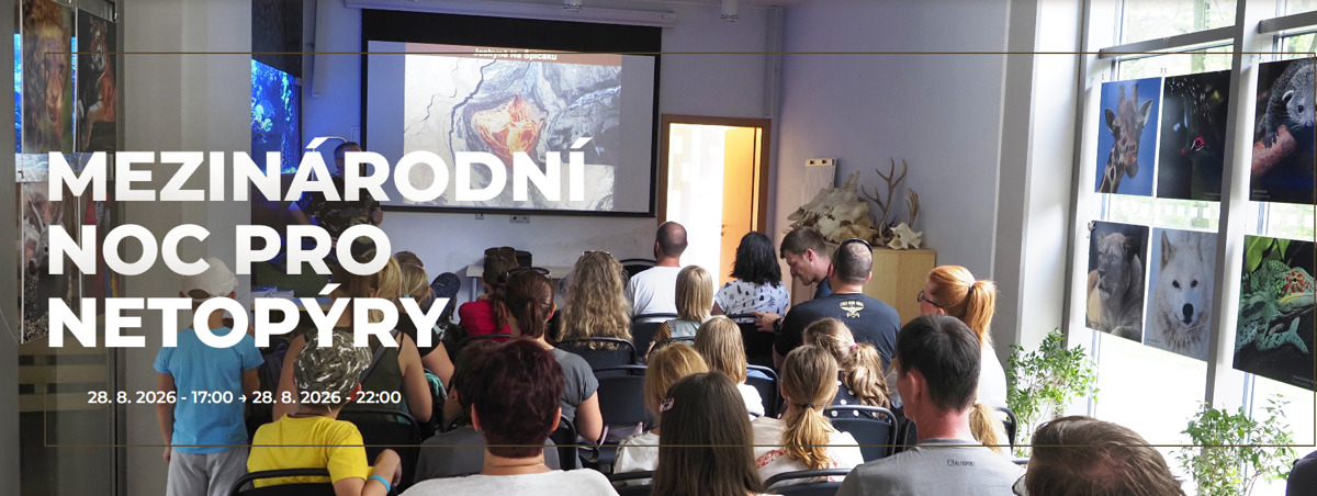 Mezinárodní noc pro netopýry
