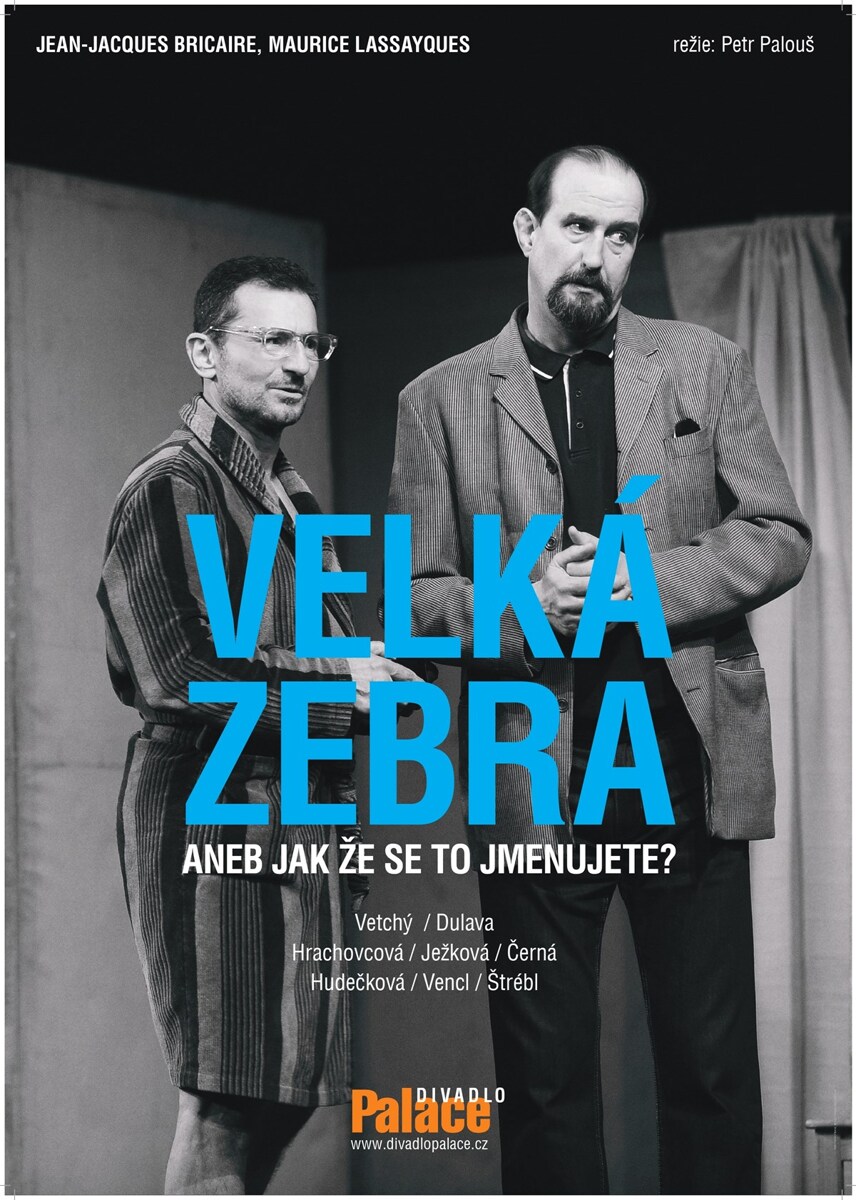Velká zebra aneb jak že se to jmenujete?