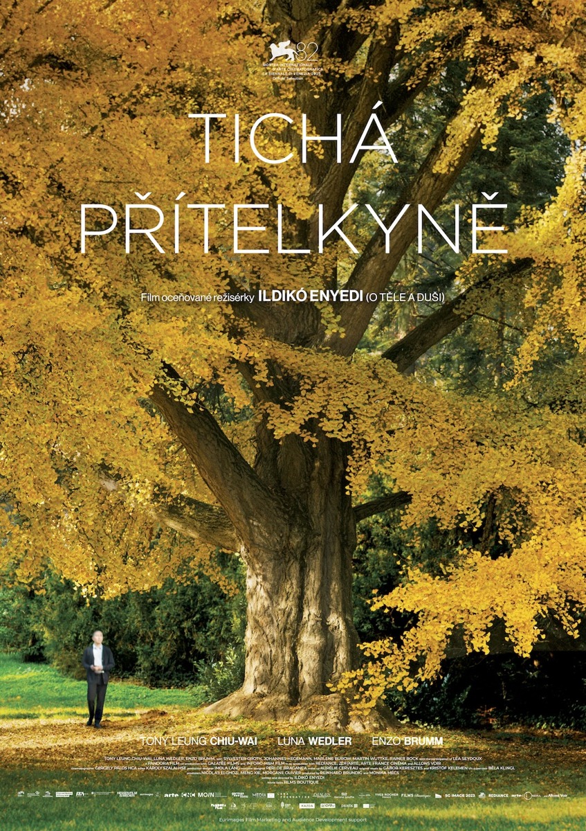 Tichá přítelkyně