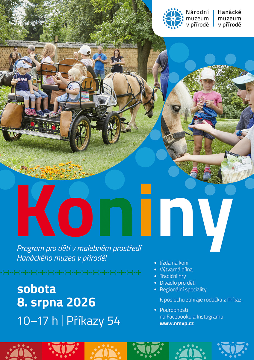 Koniny