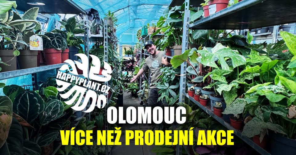 Matěj z HAPPYPLANT - Pokojovky přímo ze skleníku