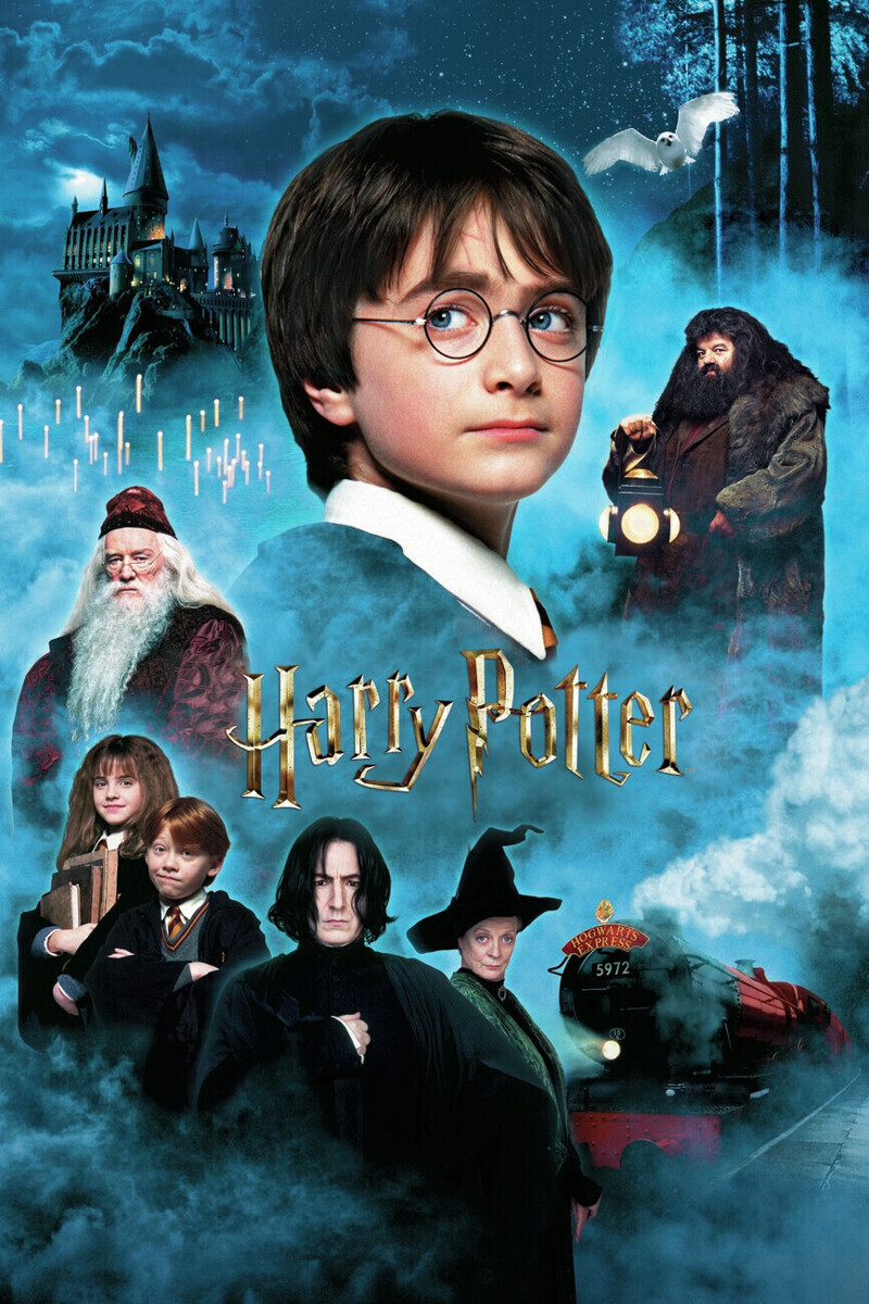 Harry Potter a Kámen mudrců