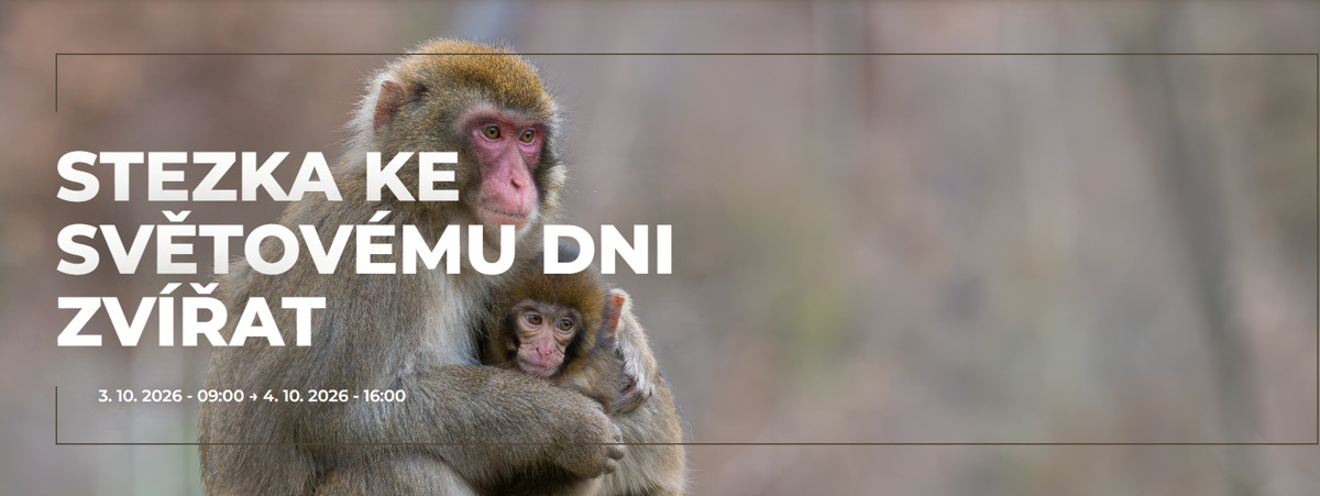 Stezka ke světovému dni zvířat