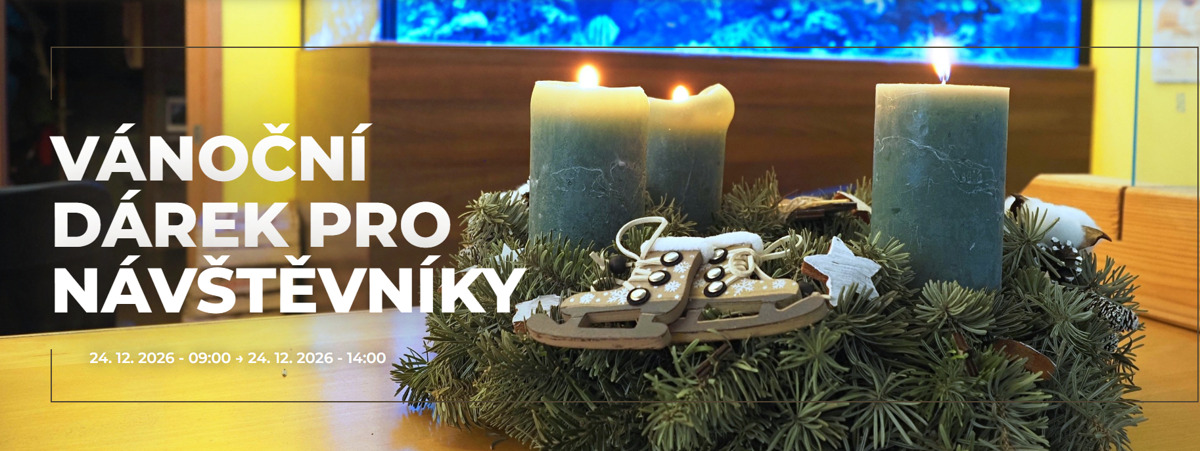 Vánoční dárek pro návštěvníky