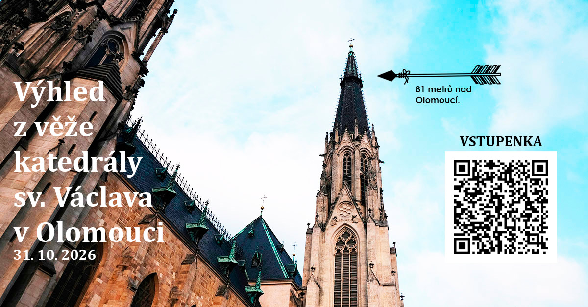Výhled z věže katedrály sv. Václava v Olomouci
