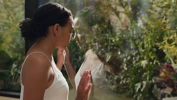 Všechno úplně všechno