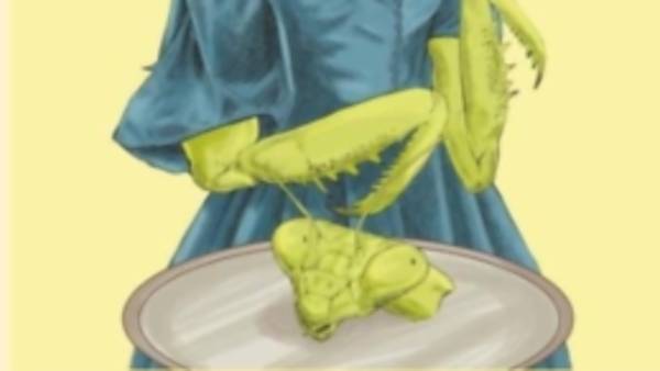 Výběr partnera, samčí ornamenty a co se děje po kopulaci