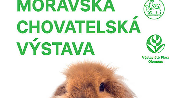 Moravská chovatelská výstava