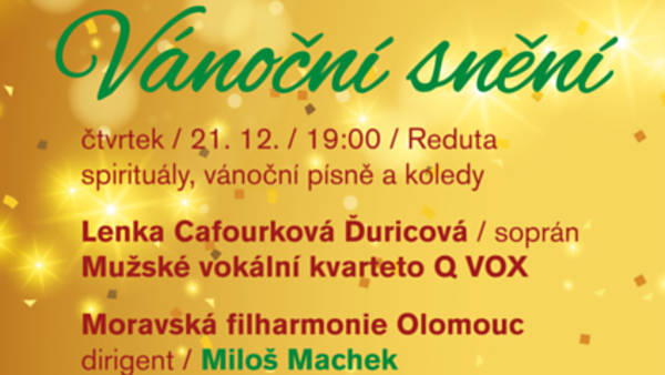 Vánoční snění