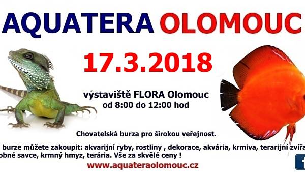 Aquatera Olomouc