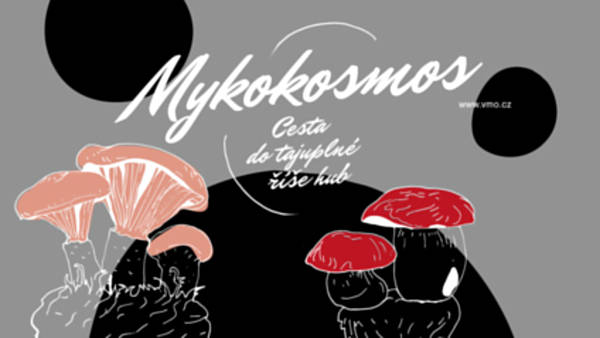Mykokosmos