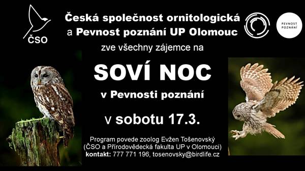 Soví noc v Pevnosti poznání