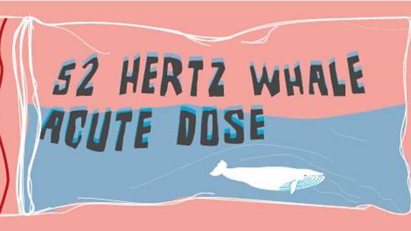 <s>Koncert: Acute Dose, 52 Hertz Whale</s>
