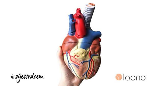 Workshop Žiješ srdcem v Olomouci