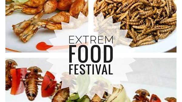 Extrem food festival Olomouc 2018