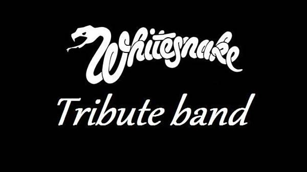 Whitesnake tribute band