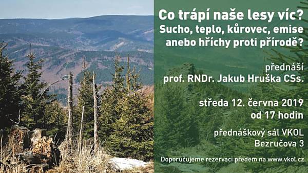 Co trápí naše lesy víc: sucho, teplo, kůrovec, emise anebo hříchy proti přírodě?