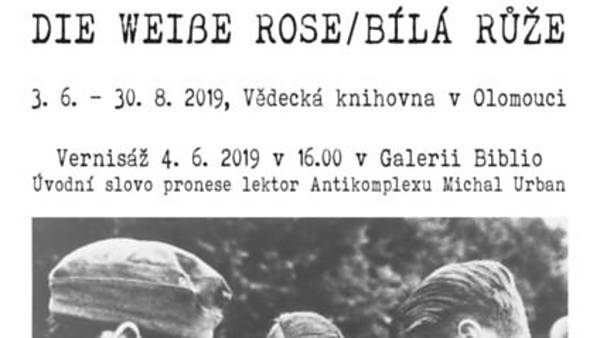 Die Weiße Rose – Bílá Růže