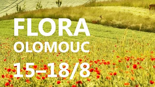 Letní Flora Olomouc