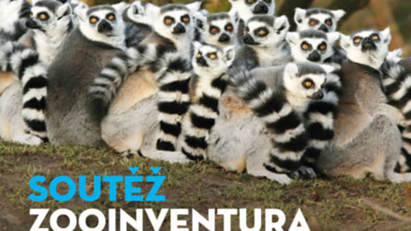 Zooinventura