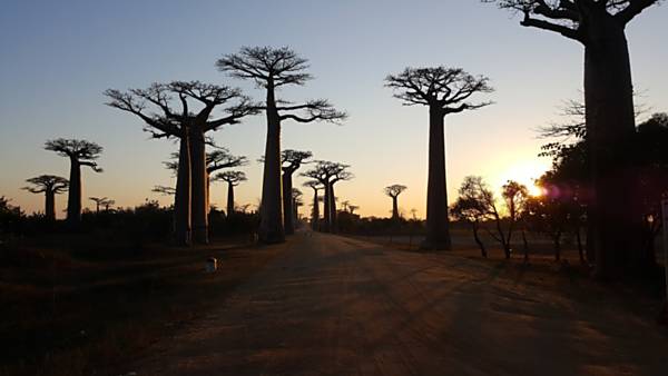 Madagaskar - Země krále Jelimána