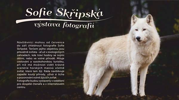 Výstava fotografií Sofie Skřipské