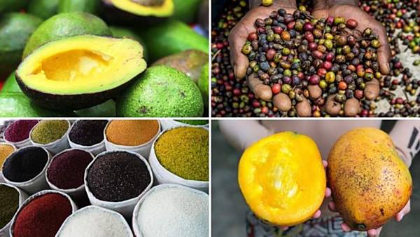 Africké trhy v Olomouci