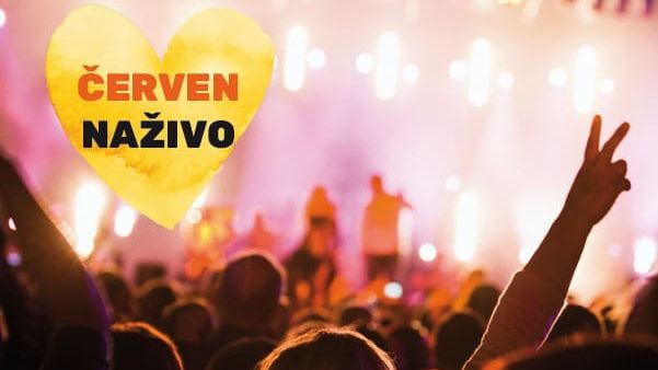 ŠAFA / Natálie Tichánková & 4GOOD