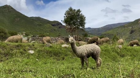 Peru - klenot Jižní Ameriky