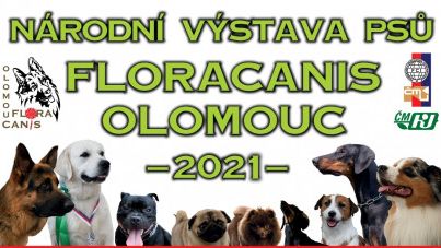 Národní výstava psů Floracanis Olomouc