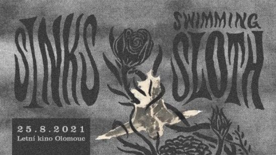 Sinks // Swimming Sloth