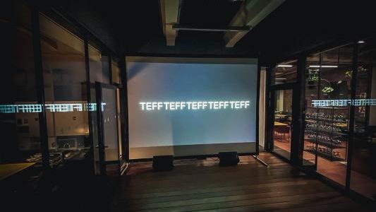 Telegraph Film Festival