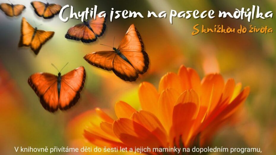 S knížkou do života – Chytila jsem na pasece motýlka