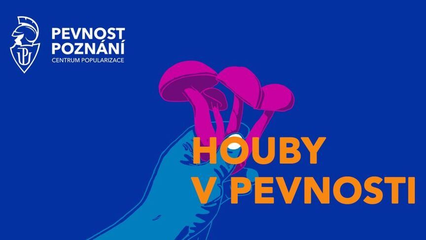 Houby v pevnosti