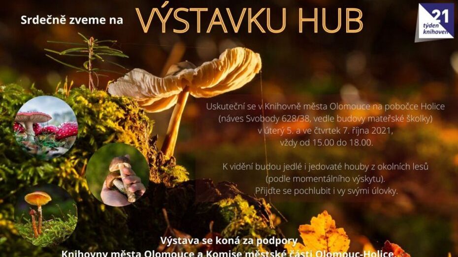 Výstavka hub