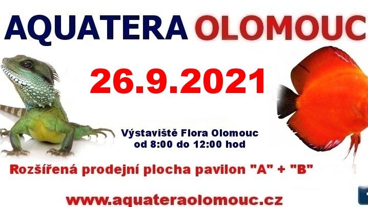 Aquatera Olomouc