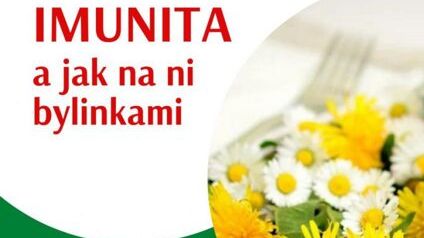 Imunita a jak na ni bylinkami
