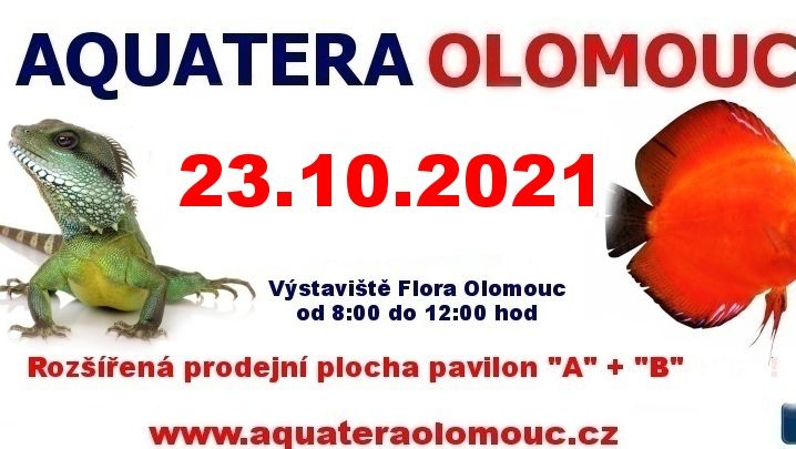 Aquatera Olomouc