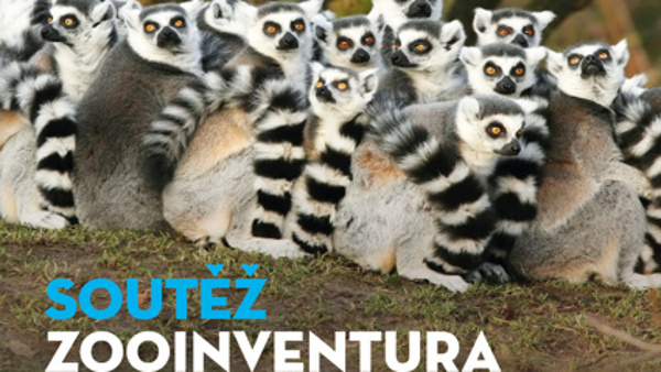 Zooinventura