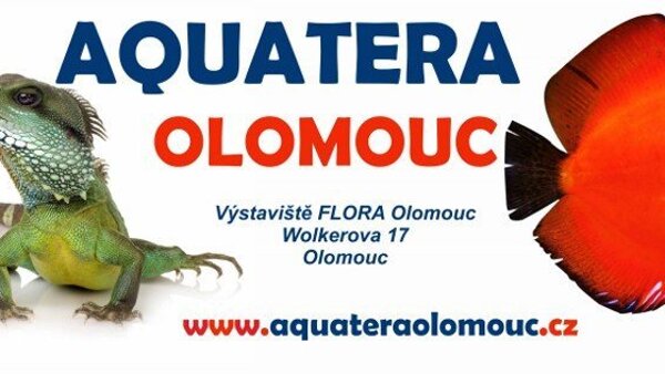 Aquatera Olomouc