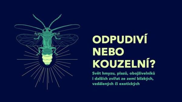 Odpudiví nebo kouzelní?