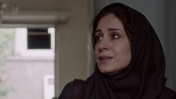 Balada o bílé krávě