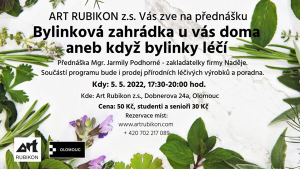 Bylinková zahrádka u vás doma aneb když bylinky léčí